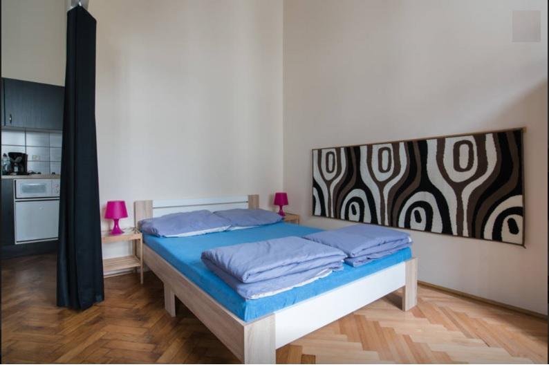 Sparrowl Apartments Budapest Rum bild